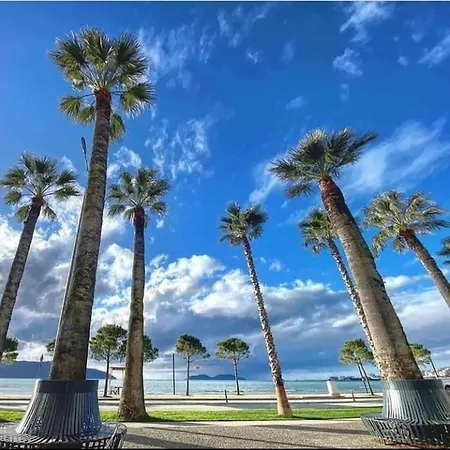 Feel Like * Vlore